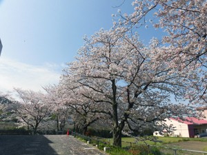 CIMG8688