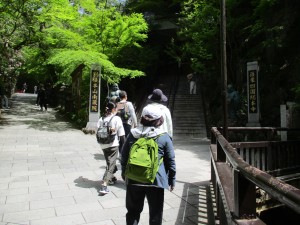 IMG_4911